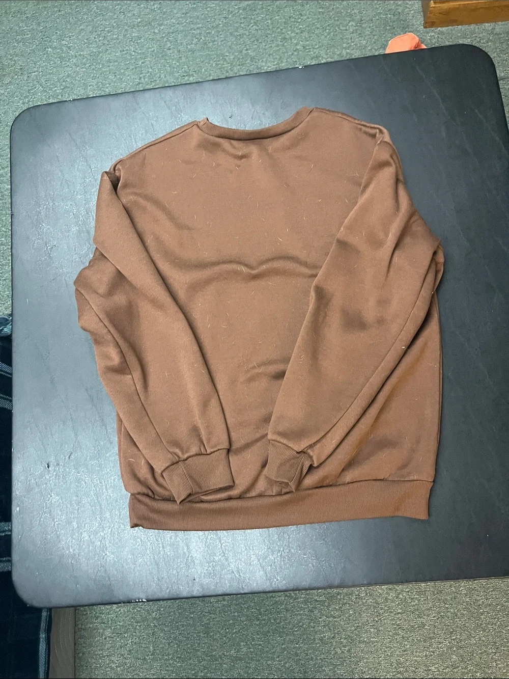 J. Crew Brown Yellowstone National Park Crewneck Sweater